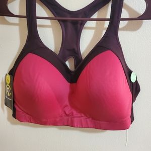Champion sports bra